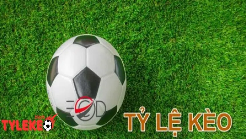 Giới Thiệu Lộ Trình Tương Lai – Phát Triển Không Ngừng Nghỉ