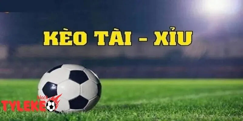 Tylekeo | Tỷ lệ kèo Kèo Tài Xỉu: Dự đoán số lần thắng