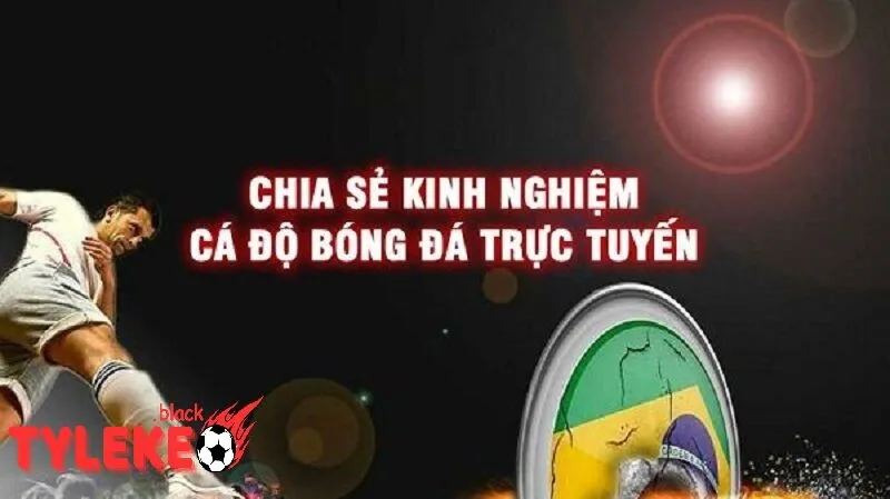 Mẹo Cá Cược Bóng Đá: Luôn Học Hỏi và Cải Thiện