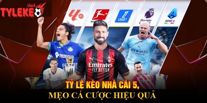 Mẹo Cá Cược Hiệu Quả Với Bảng Tỷ Lệ Kèo Nhà Cái 5