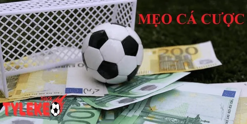 Mẹo Cá Cược Hiệu Quả