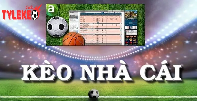 Soi Kèo Nhà Cái và Tương Lai Cá Cược