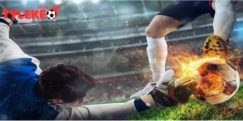 Xu hướng Tylekeo | Tỷ lệ kèo trong tương lai 